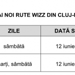 Immagine 2021-05-11 162538