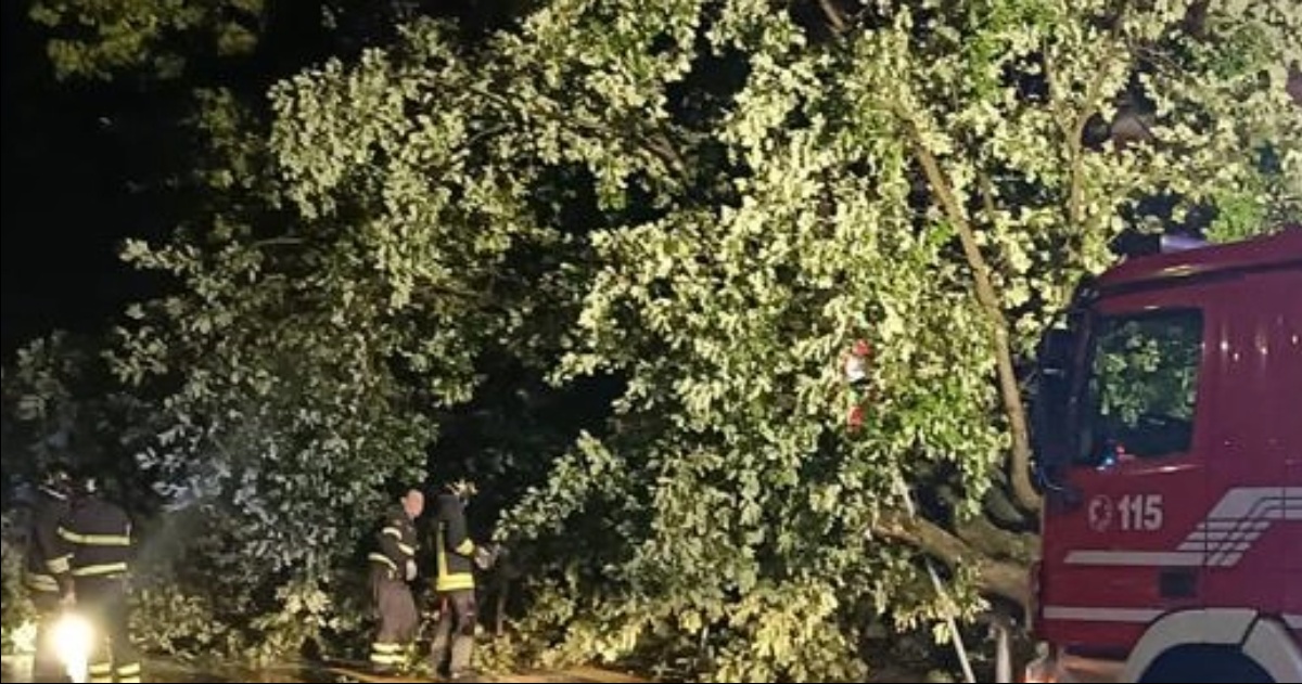 Morto in Italia a soli 16 anni, dopo che un albero è stato sradicato da un temporale